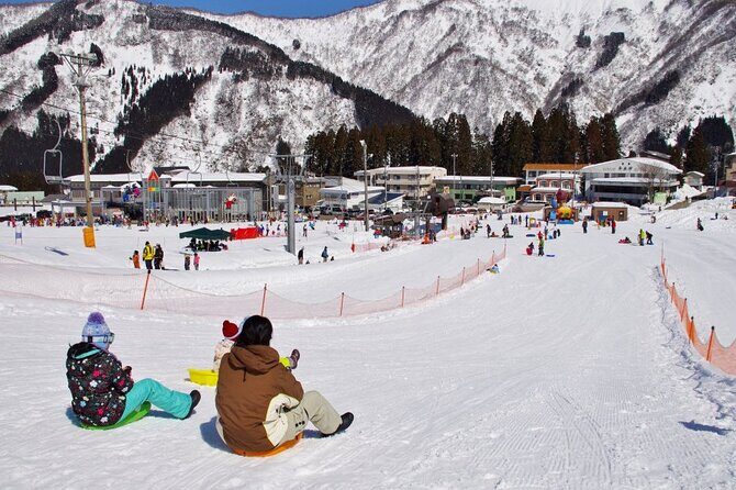 Snow sledding , all-you-can-eat crab lunch and illuminations - Authentic Traveler Perspectives