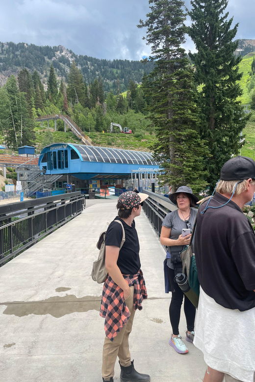 snowbird-summer-excursion-day-tour