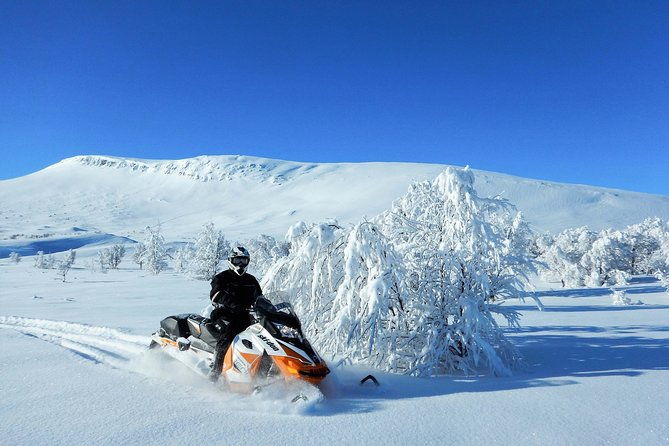 snowmobile-adventure-in-swedish-lapland-day-tour