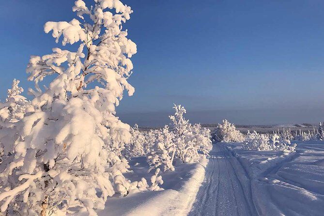Snowmobile Arctic Adventure - The Sum Up