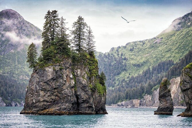 snowmobile-classic-tour-in-kenai-fjords-national-park