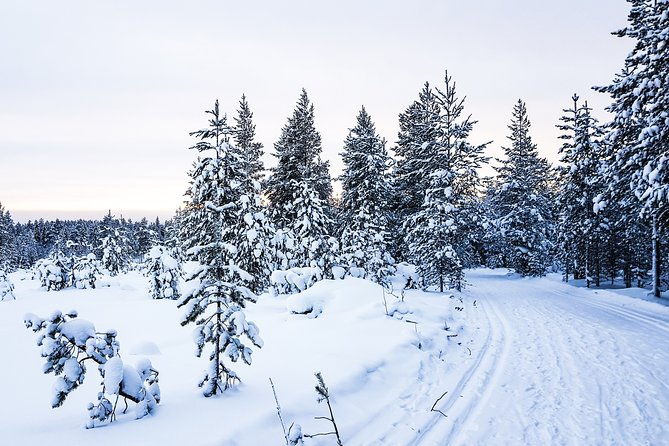 snowmobile-driving-afternoon-start