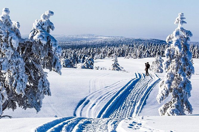 snowmobile-safari-in-the-forest
