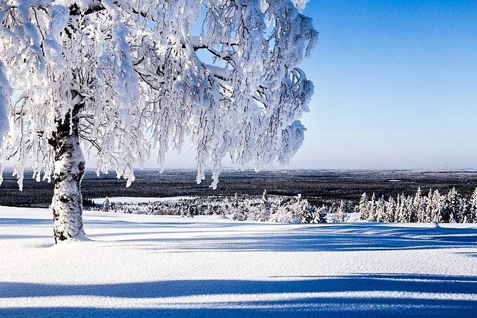 snowmobile-safari-in-the-forest
