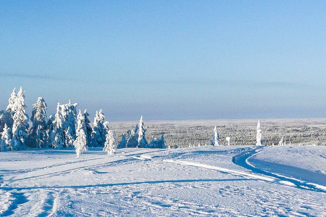 snowmobile-safari-in-the-forest