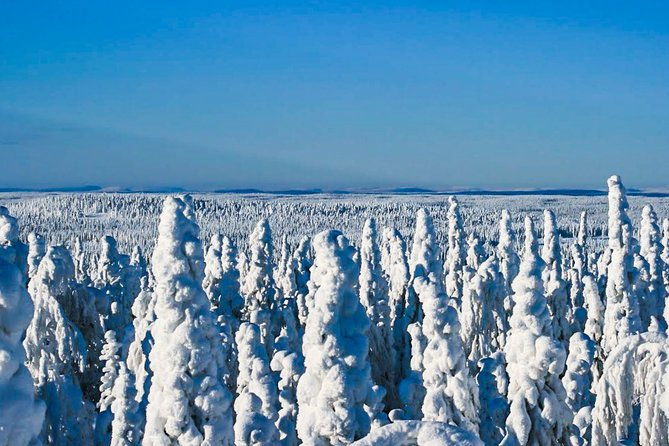 snowmobile-safari-in-the-nature