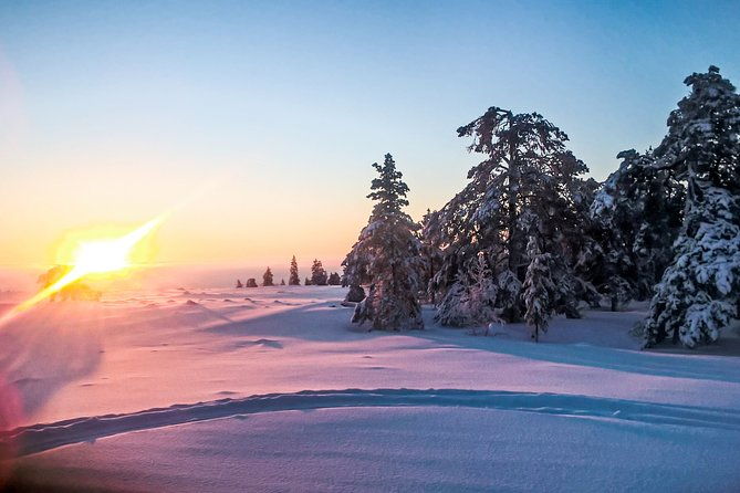 snowmobile-safari-in-the-nature