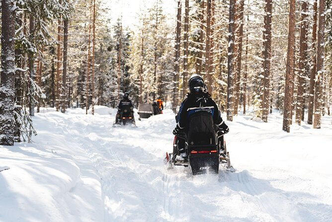 snowmobile-safari-into-the-arctic-circle-forest