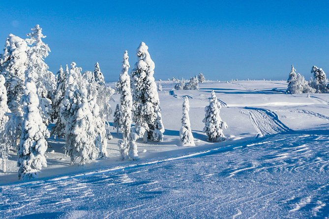 snowmobile-safari-on-the-tundra