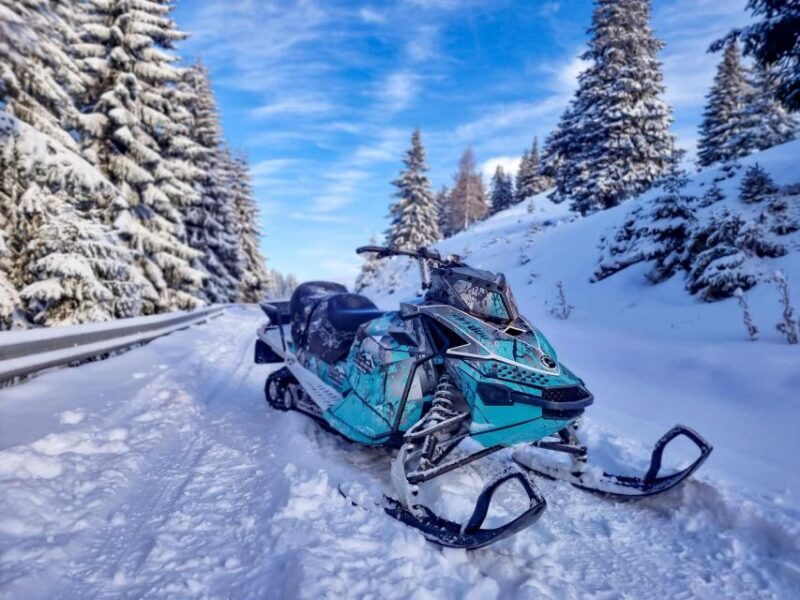 Snowmobile Tour In Bucegi Mountains - Price and Value