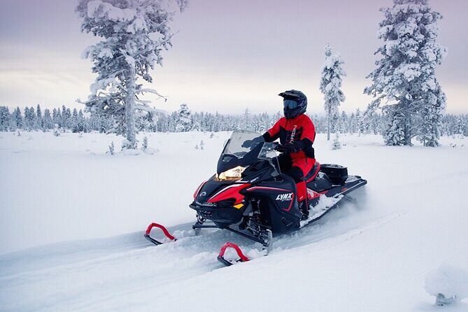 Snowmobile Tour with Small Group in Remote Wilderness 3 Hours - The Experience: What You Can Expect