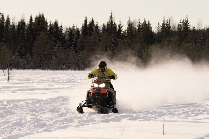 Snowmobile Tours in Rovaniemi Lapland - Who Should Book This Tour?