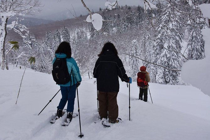 snowshoe-hike-tour-from-sapporo