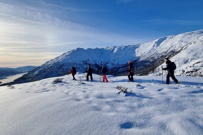 Snowshoe hiking Bergen Public - Norway Mountain Guides - Exploring the Snowy Wilderness Near Bergen: A Guide to Norway Mountain Guides Snowshoe Hike