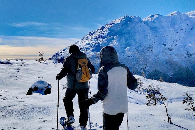 Snowshoe hiking Bergen Public - Norway Mountain Guides - Who Should Consider This Tour?