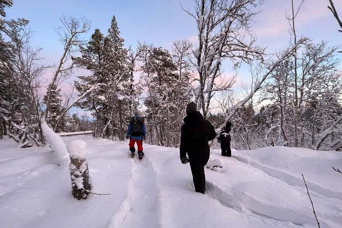 snowshoe-in-a-winter-forest