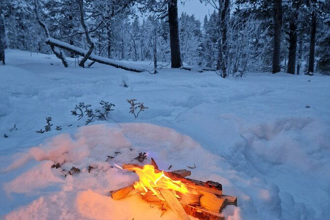 snowshoe-in-a-winter-forest