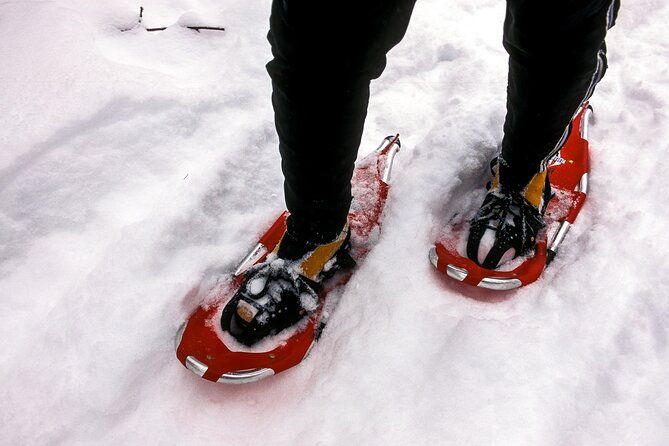 snowshoe-or-cross-country-ski-tours-in-glacier-national-park-2