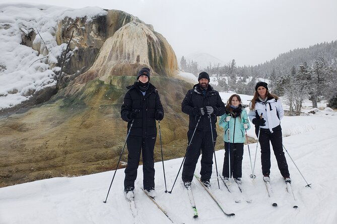 snowshoe-or-xc-ski-in-north-yellowstone-half-day