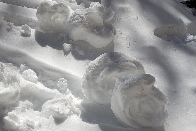 snowshoe-or-xc-ski-in-north-yellowstone-half-day