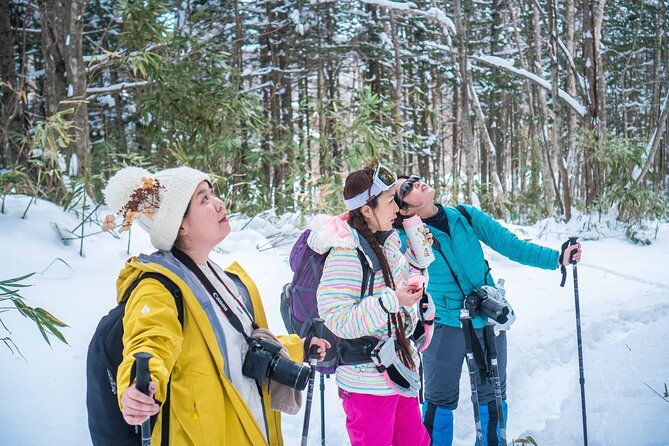 snowshoe-to-spectacular-winter-ice-caves-in-hokkaido