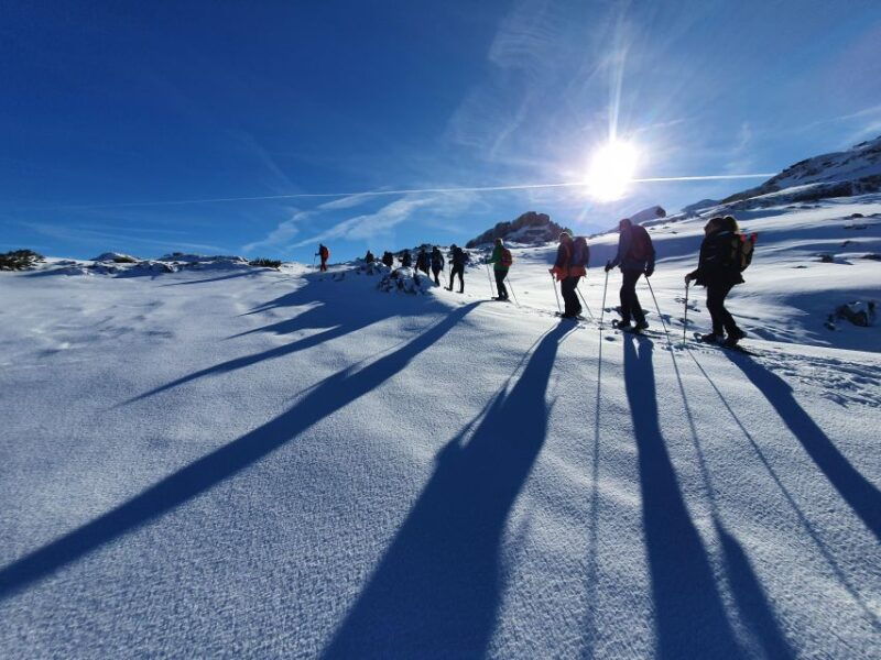 snowshoe-tour-ifen-gottesacker-allgau-kleinwalsertal