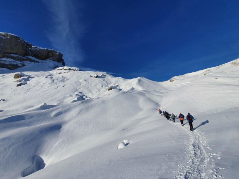 snowshoe-tour-ifen-gottesacker-allgau-kleinwalsertal
