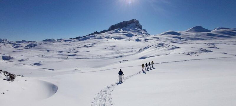 snowshoe-tour-ifen-gottesacker-allgau-kleinwalsertal