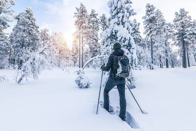 snowshoe-tour-in-the-lake-tahoe-mountains