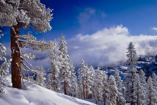 snowshoe-tour-in-the-lake-tahoe-mountains