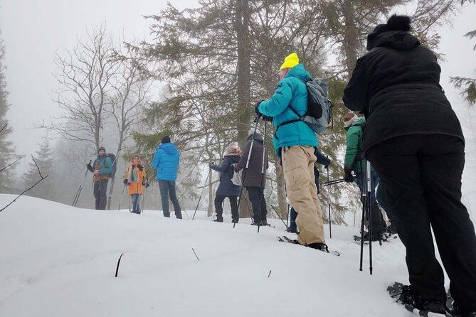 snowshoe-tour-in-winter-wonderland-oslo-2