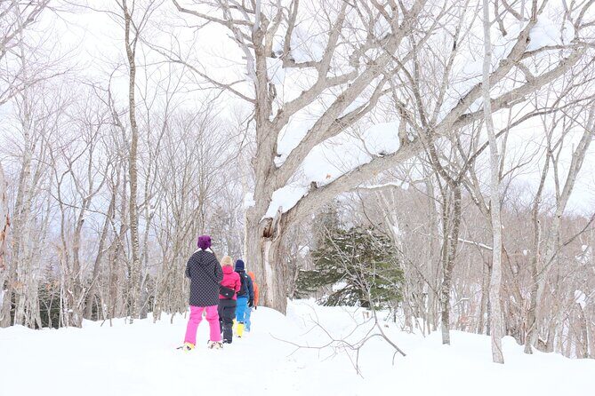Snowshoe tours in Niseko Explore beautiful snowscapes adventure - Authentic Insights from Reviews