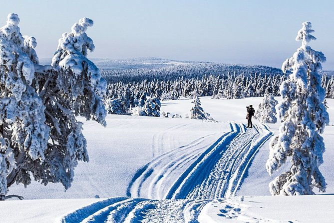 snowshoe-trip-for-searching-arctic-animals