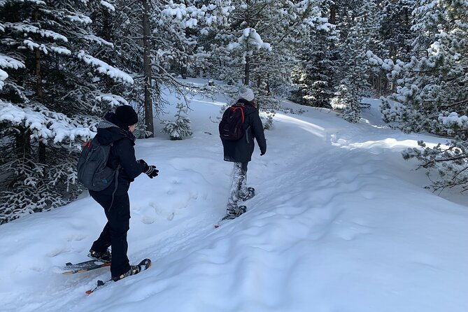snowshoeing-adventure-in-the-rocky-mountains-close-to-denver