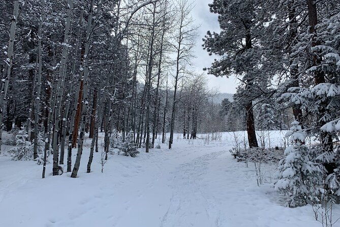 snowshoeing-adventure-in-the-rocky-mountains-close-to-denver