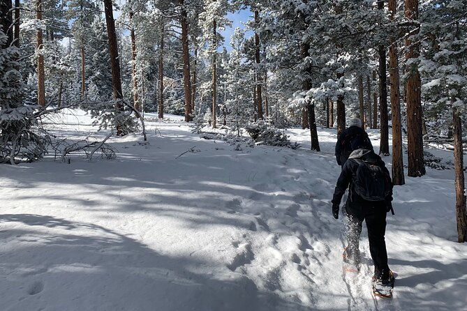 snowshoeing-adventure-in-the-rocky-mountains-close-to-denver