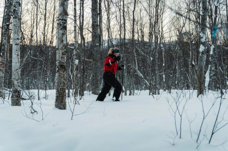 snowshoeing-adventure-to-the-enchanting-frozen-waterfall