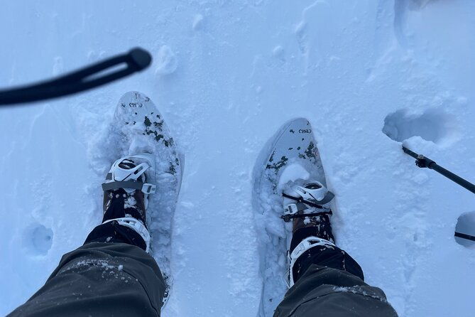 snowshoeing-and-onsen-adventures-in-a-winter-wonderland-sapporo