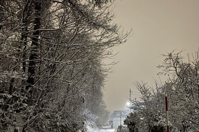 snowshoeing-and-onsen-adventures-in-a-winter-wonderland-sapporo