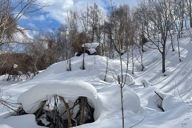 snowshoeing-and-onsen-adventures-in-a-winter-wonderland-sapporo