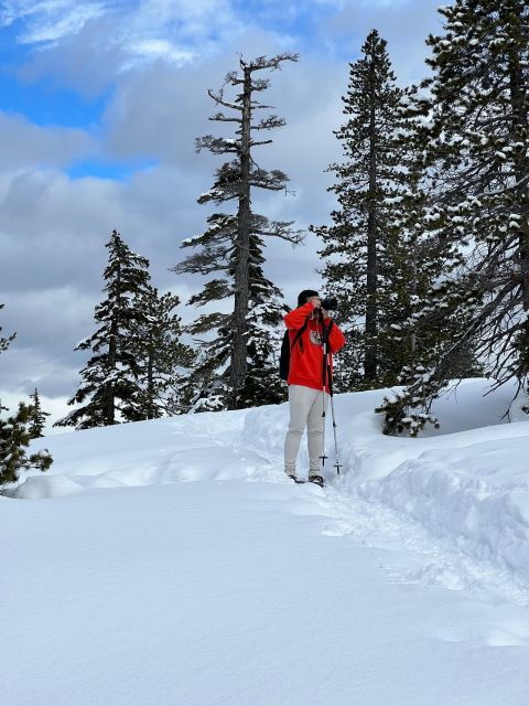 snowshoeing-at-the-top-of-the-sea-to-sky-gondola