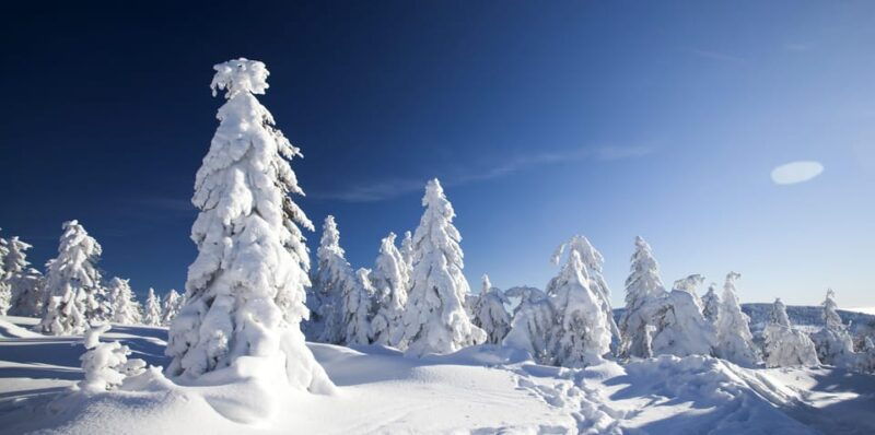 snowshoeing-experience