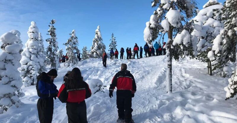 snowshoeing-experience
