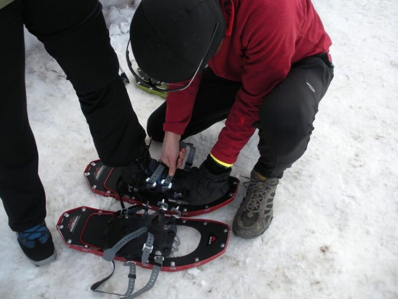 snowshoeing-experience