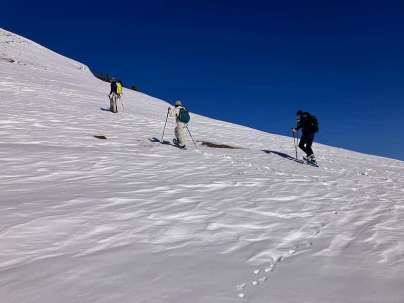 Snowshoeing in Bakuriani, Caucasus Mountains - Key Points