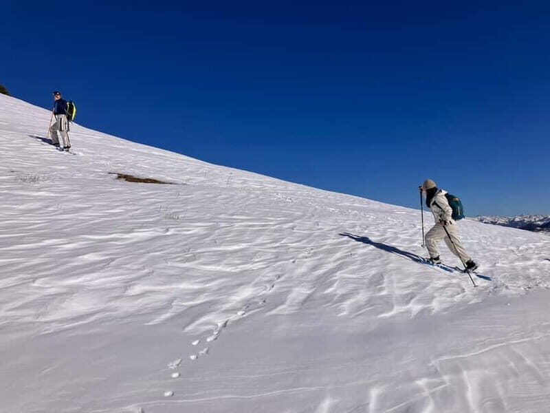 Snowshoeing in Bakuriani, Caucasus Mountains - Setting the Scene: What is the Snowshoeing Experience in Bakuriani?