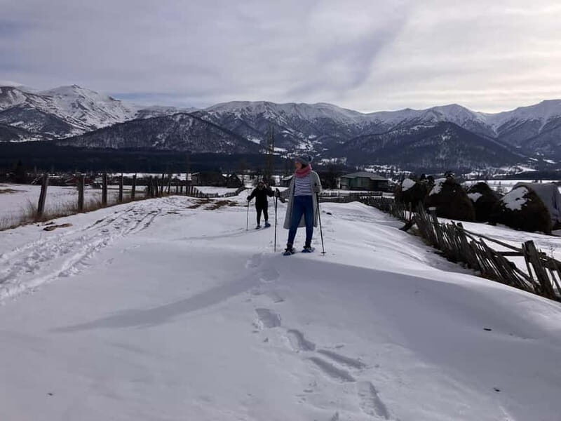 Snowshoeing in Bakuriani, Caucasus Mountains - Guides and Reviews: Authentic Experiences from Travelers