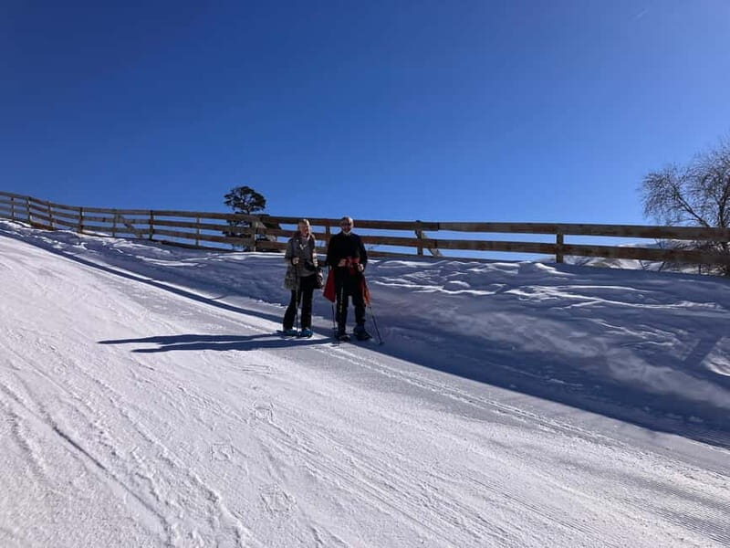 Snowshoeing in Bakuriani, Caucasus Mountains - Practical Tips for Your Snowshoeing Trip