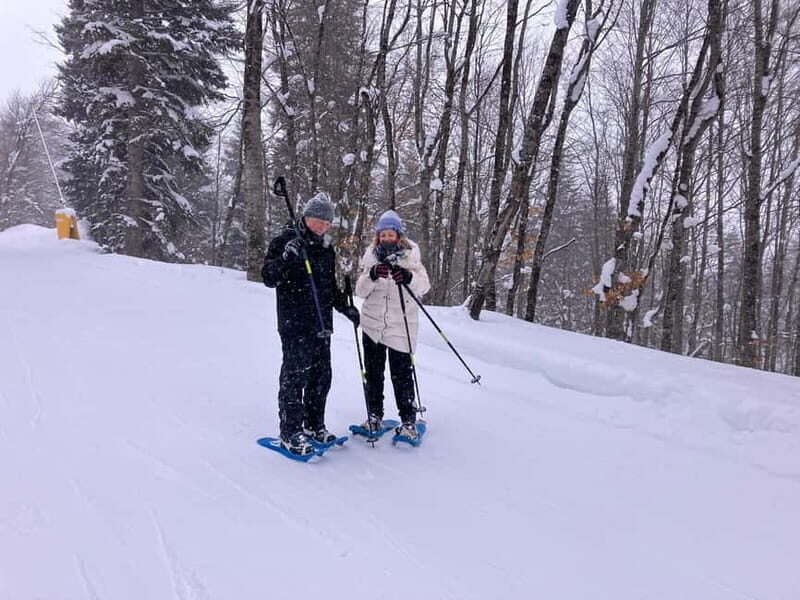 Snowshoeing in Bakuriani, Caucasus Mountains - FAQ