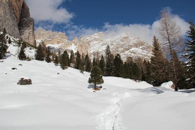 snowshoeing-in-cortina-dampezzo